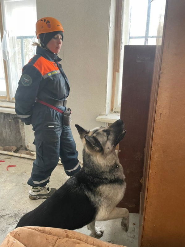 Занятия кинологов Центра