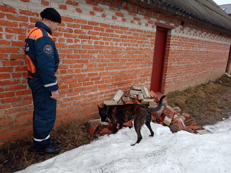 Учебно-тренировочные занятия кинологов 31.03.2021