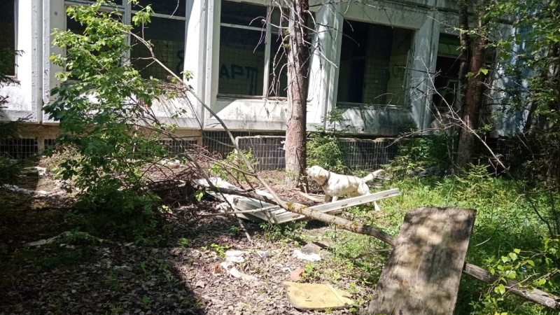 Занятия кинологов 02.06.2021