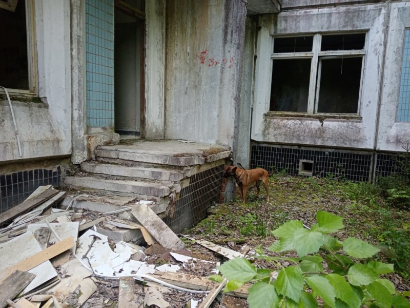 Занятия кинологов 02.06.2021
