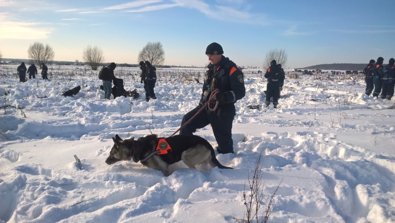 26 лет со дня образования поисковой кинологической службы МЧС России