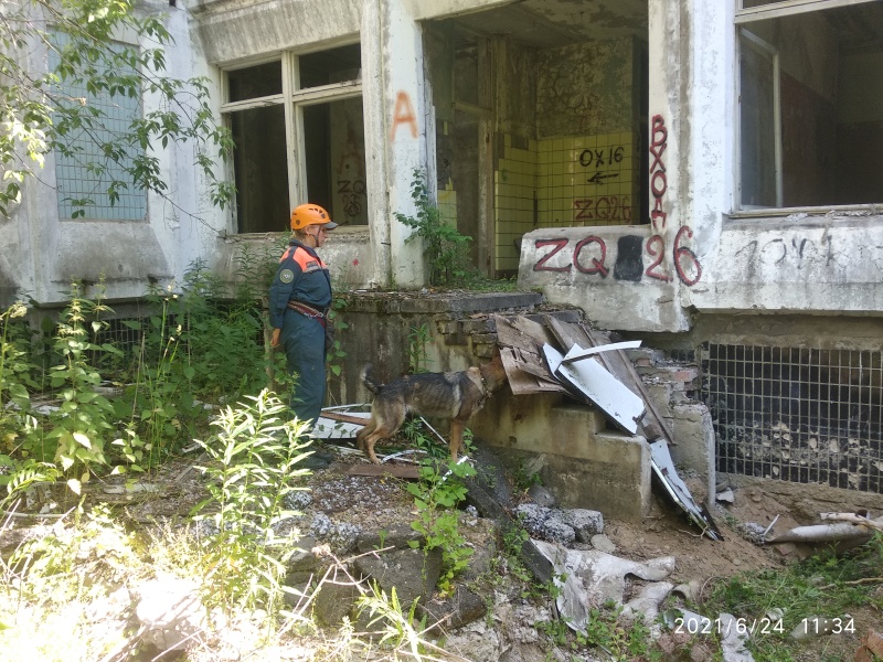 Кинологи Центра провели учебно-тренировочные занятия