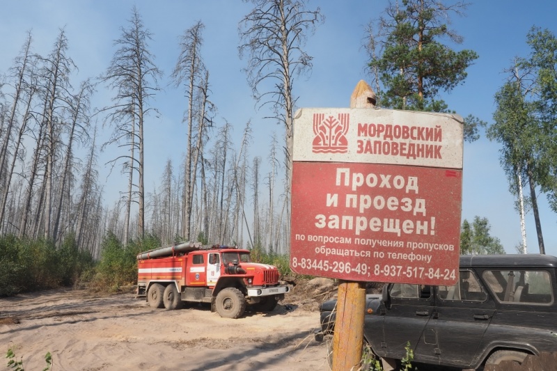 Центр "Лидер" продолжает ликвидацию пожара на территории Мордовского заповедника