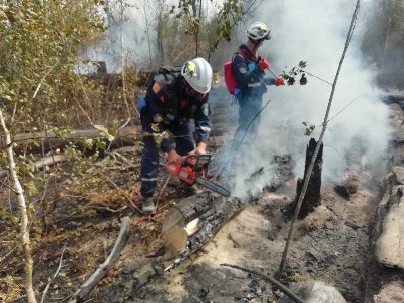 Спасатели Центра выполняют задачи по ликвидации очагов пожаров в Мордовии 31.08.2021 Спасатели Центра выполняют задачи по ликвидации очагов пожаров в Мордовии 31.08.2021
