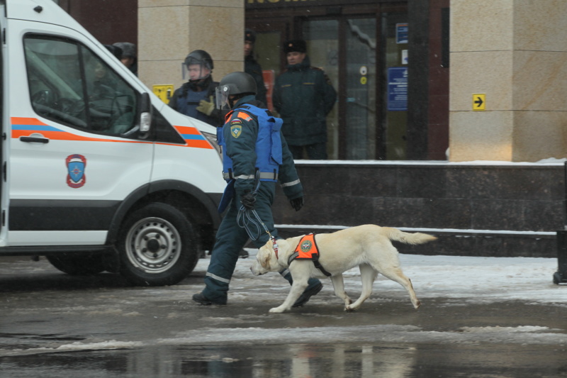 Личный состав Центра принял участие в выставочной экспозиции в честь дня открытых дверей МЧС России