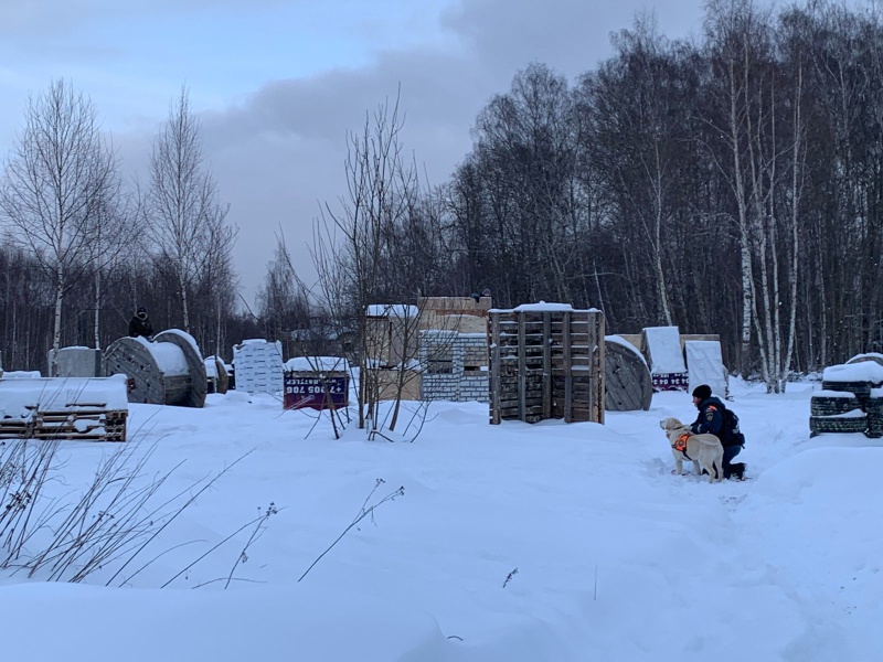 Учебно-тренировочные   занятия кинологов