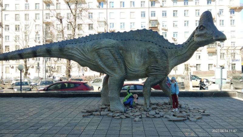 Культурный выезд в Дарвиновский музей
