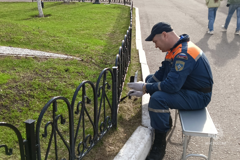В   Центре  проведен субботник