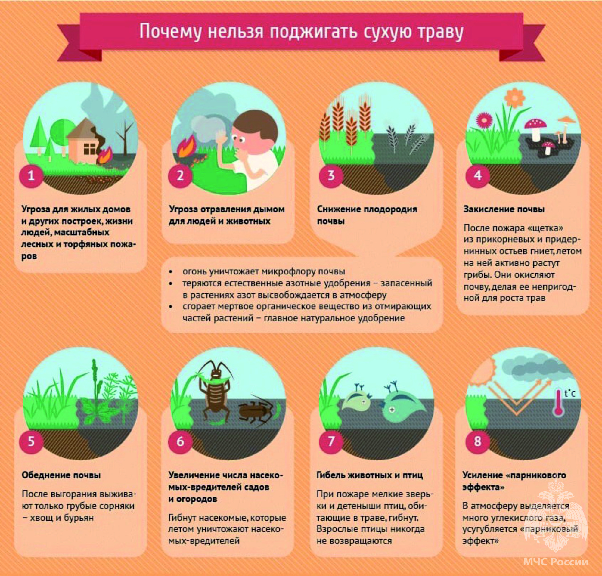 Нельзя поджигать сухую траву картинки