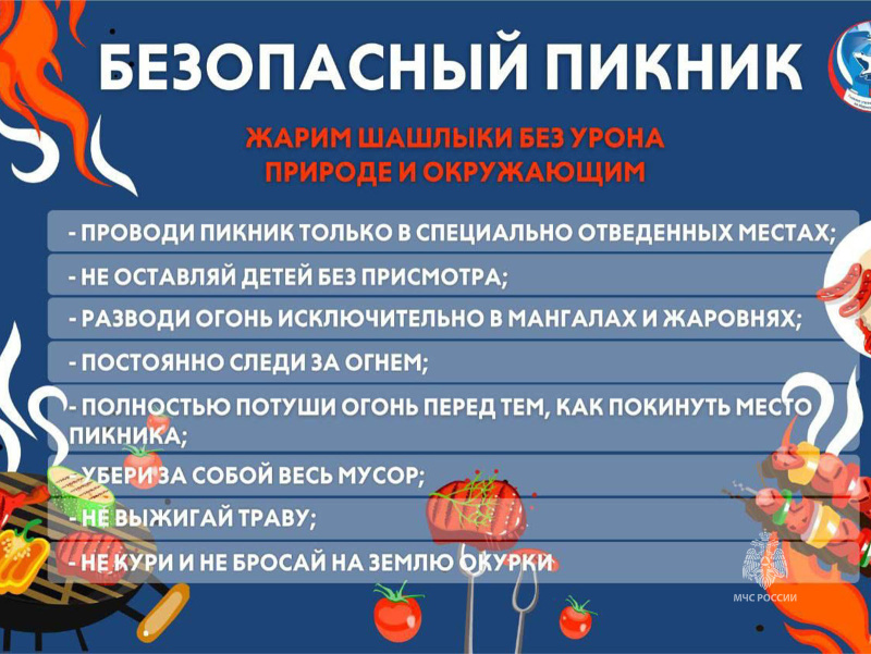 Безопасный пикник