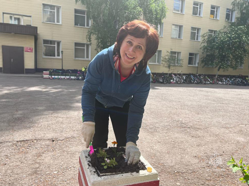Благоустройство территорий