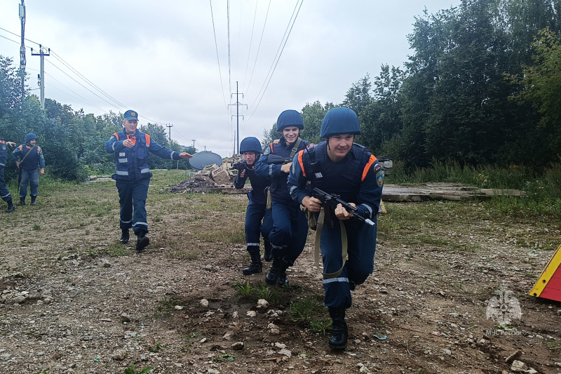 Полевой выход  2 управления