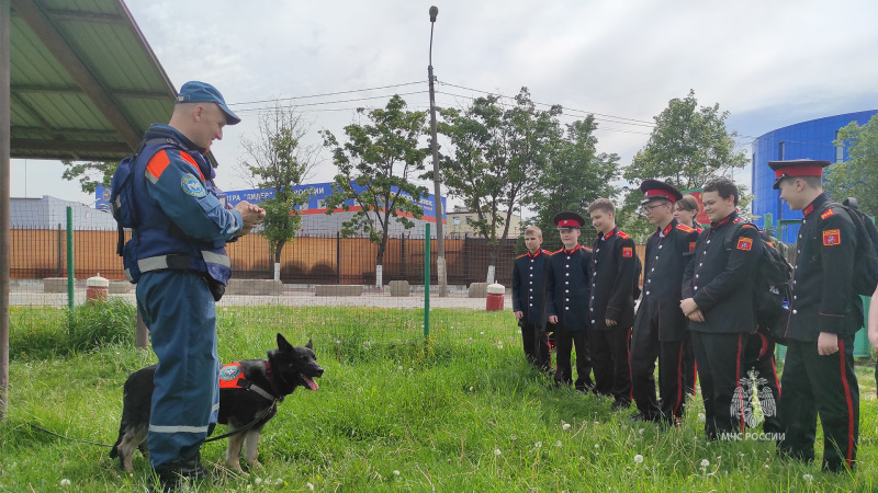 День    открытых    дверей