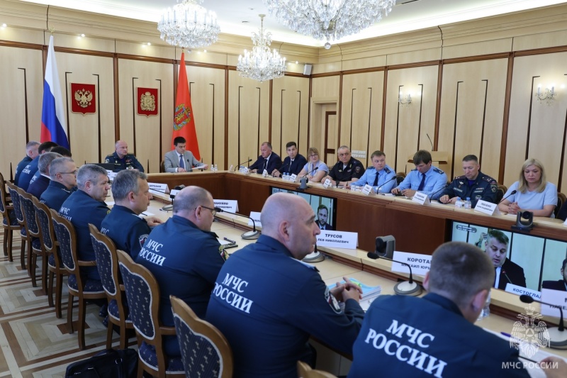 Главы МЧС России и Красноярского края обсудили пожароопасную обстановку в регионе