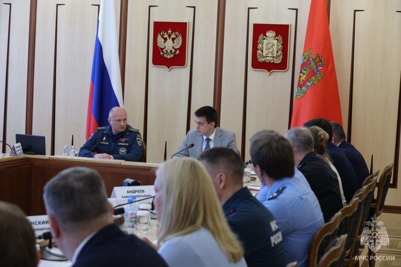 Главы МЧС России и Красноярского края обсудили пожароопасную обстановку в регионе