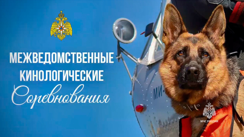 Кинологические расчеты Центра «Лидер» приняли участие в межведомственных соревнованиях