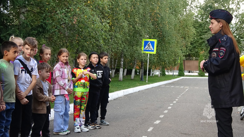 Занятие с детьми по профилактике БДД