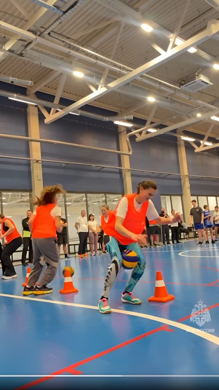 Сотрудники Центра отметили Всероссийский день самбо