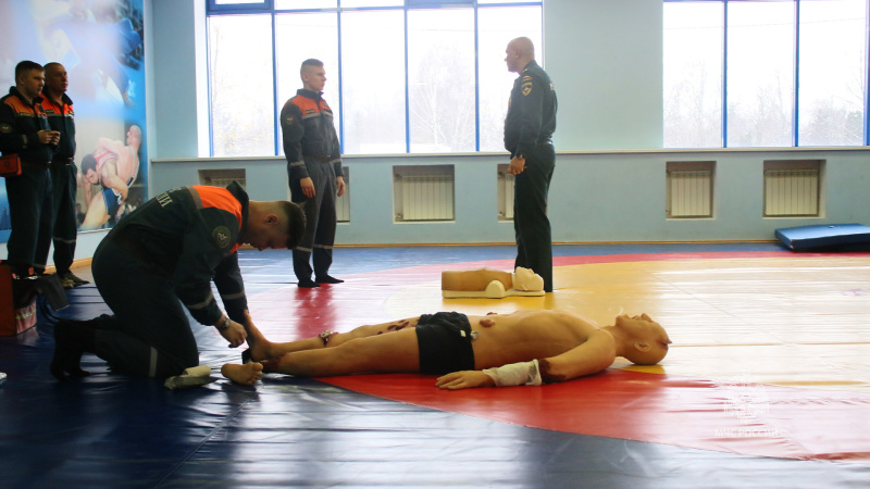 В  Центре  завершилась итоговая проверка