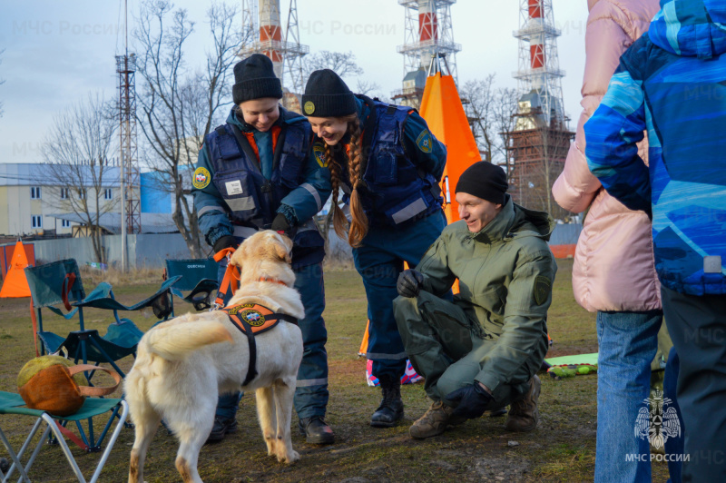Кинологи из Центра «Лидер» МЧС России провели канистерапию для детей