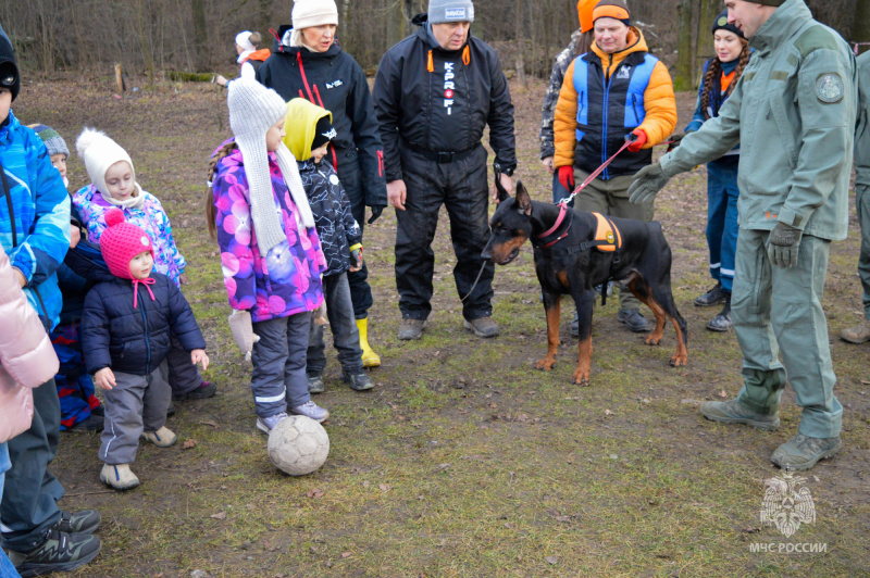Кинологи из Центра «Лидер» МЧС России провели канистерапию для детей