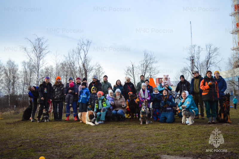 Кинологи из Центра «Лидер» МЧС России провели канистерапию для детей
