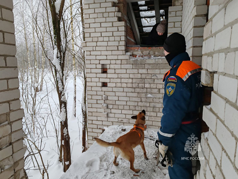 Учебно-тренировочные занятия  кинологов