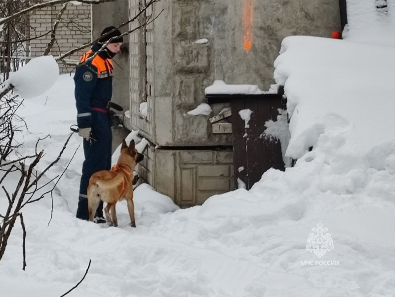 Учебно-тренировочные занятия  кинологов