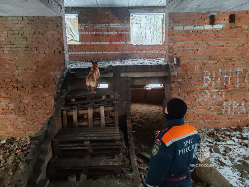 Учебно-тренировочные занятия  кинологов