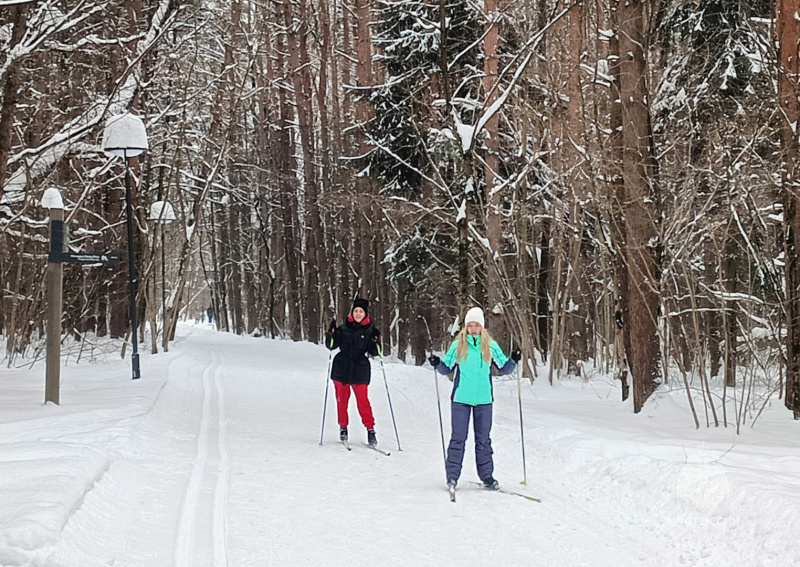 Занятие по лыжной подготовке