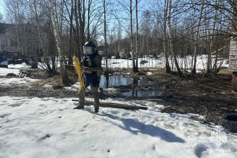Полевой выход пиротехников Центра
