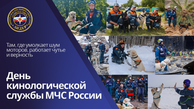 30 лет со дня образования поисковой кинологической службы МЧС России