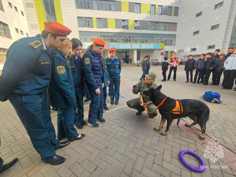 Представители Центра провели для школьников открытый урок