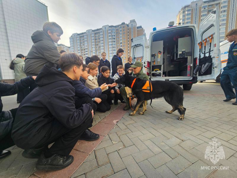 Представители Центра провели для школьников открытый урок