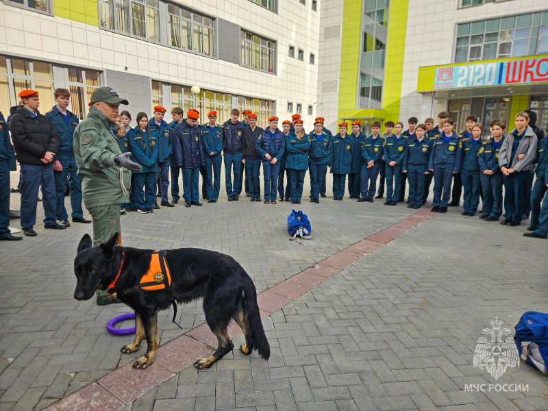 Представители Центра провели для школьников открытый урок