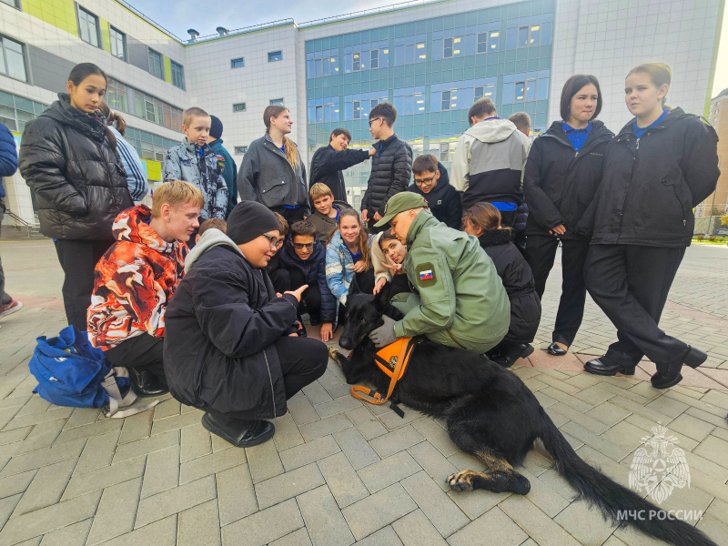Представители Центра провели для школьников открытый урок