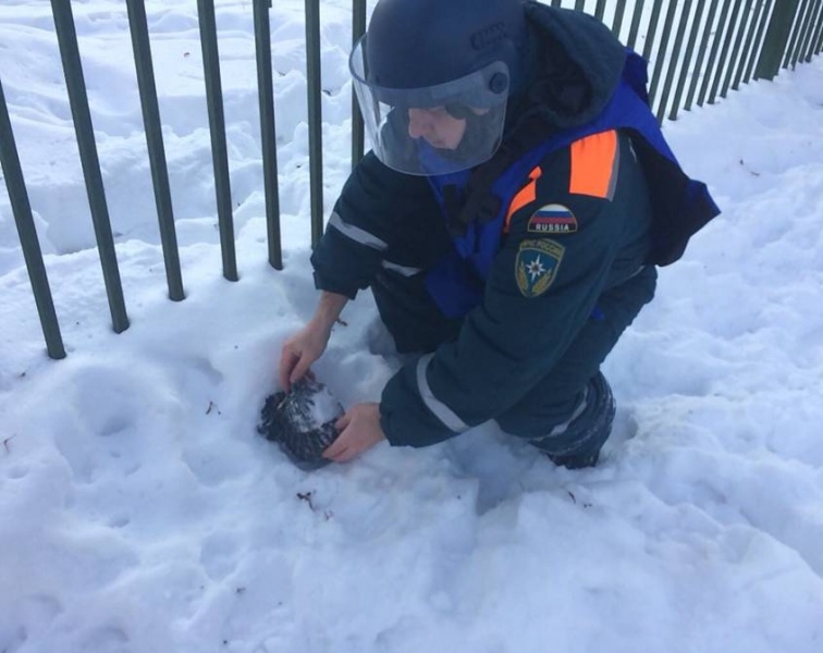 Оперативно-технический осмотр