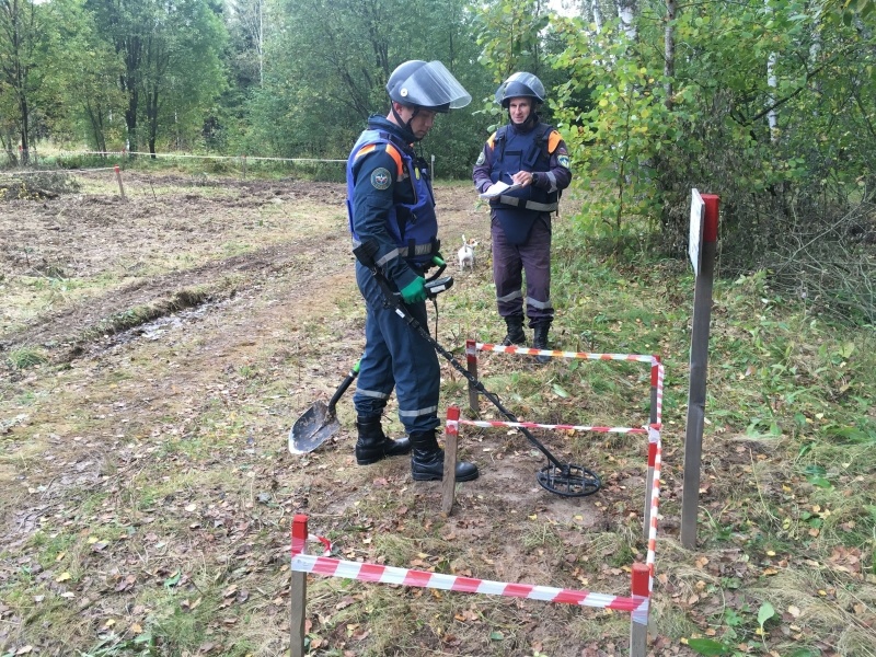 Проведение пиротехнических работ в ТиНАО