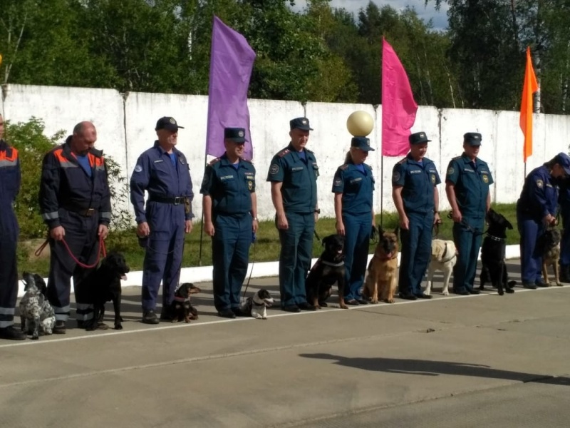 Аттестация кинологов Центра 
