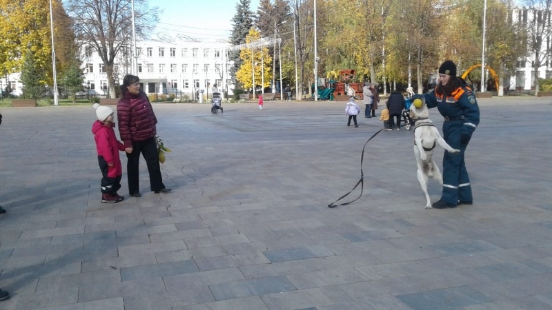 Кинологи Центра приняли участие в проведении праздника "Знания и умения по Гражданской обороне"