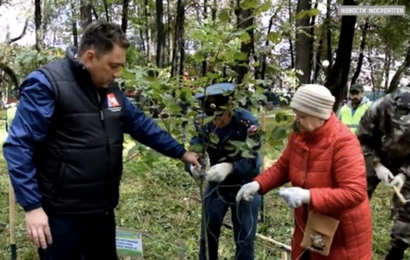 Сотрудники Центра приняли участие в акции по посадке деревьев 