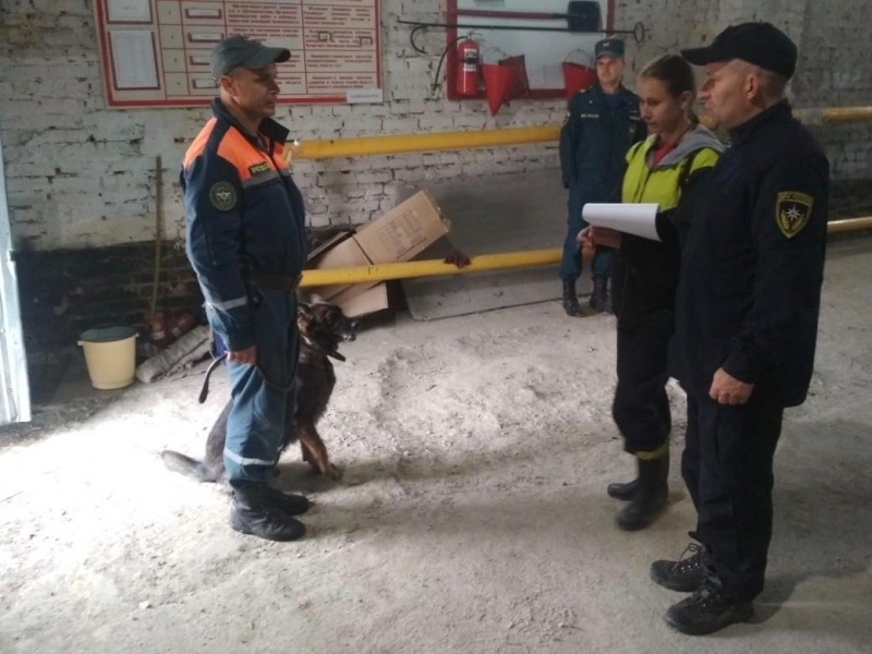 Кинологи Центра успешно прошли аттестацию