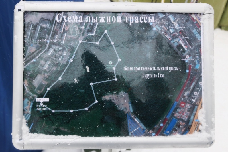 Сотрудники Центра «Лидер» приняли участие в соревнованиях по лыжным гонкам