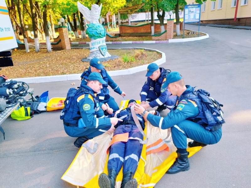 Полевой выход 7 управления