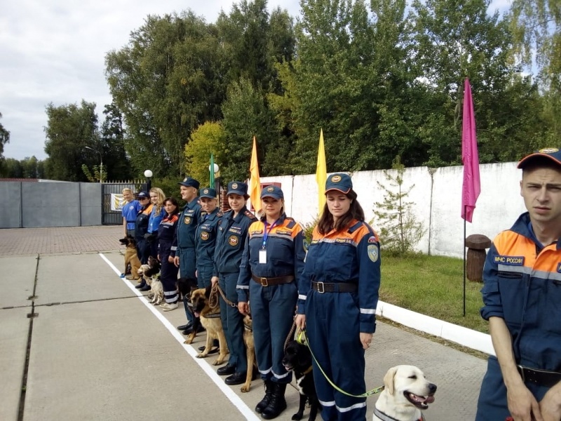 Аттестация кинологов Центра