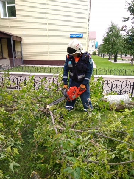 Ликвидация последствий неблагоприятных погодных условий 