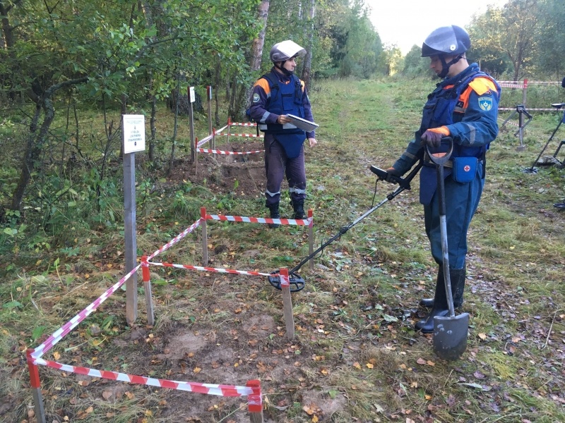 Проведение пиротехнических работ в ТиНАО