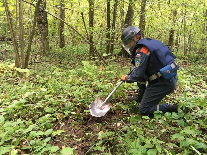 Проведение пиротехнических работ в ТиНАО