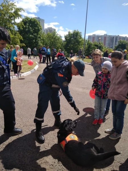 Участие сотрудников Центра на 3-ем Московском фестивале здоровья и безопасности детей