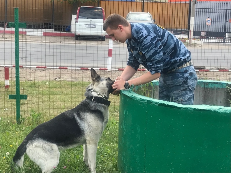 В Центре продолжается практика студентов-кинологов ГБПОУ ОКГ «Столица»